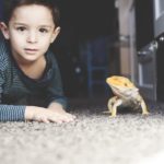 vivir con animales exóticos