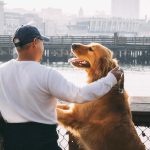 dónde pueden entrar los perros con la nueva ley