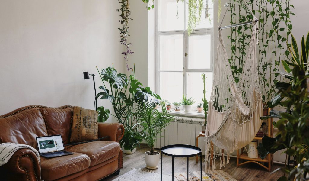 plantas de interior fáciles de cuidar