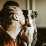 como quitar embarazo psicológico en perros