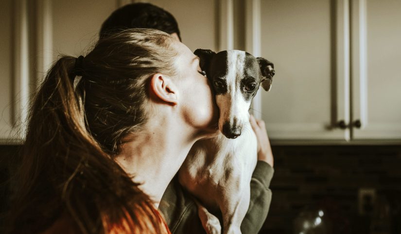 como quitar embarazo psicológico en perros
