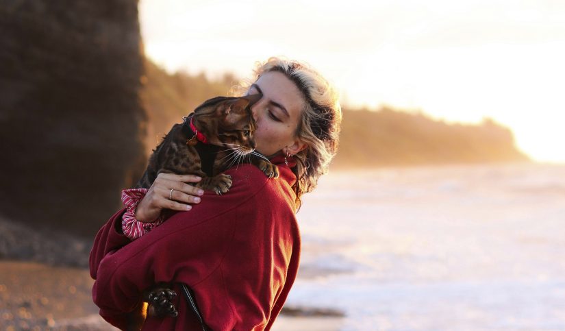 como hacer un viaje largo en coche con un gato